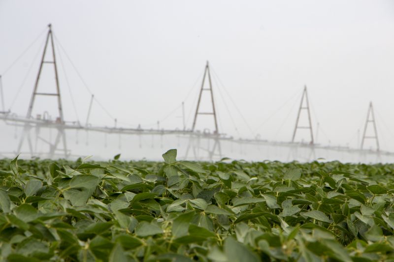 Agricultural Watering