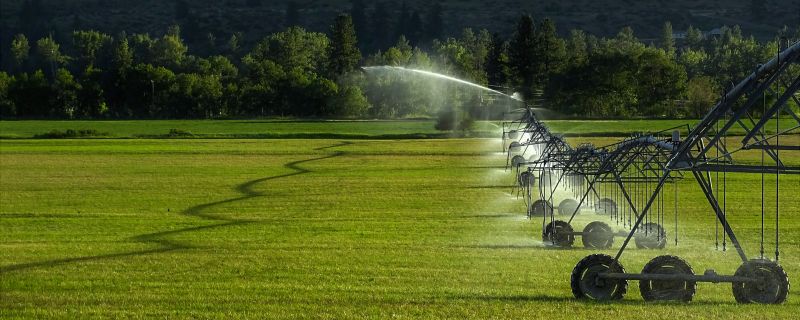 Garden Irrigation Installation in Honolulu, HI