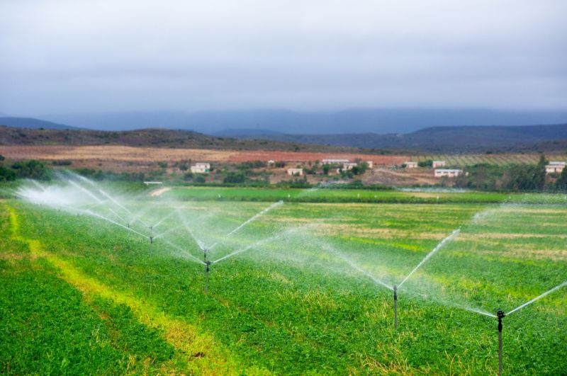 Mist Irrigation Installation in Ventura County, CA