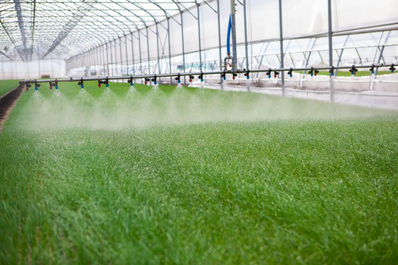Mist Irrigation Installation in Ventura County, CA