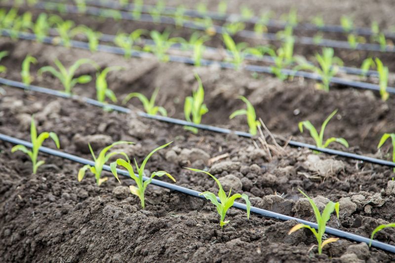 Crop Irrigation Installation in Ventura County, CA